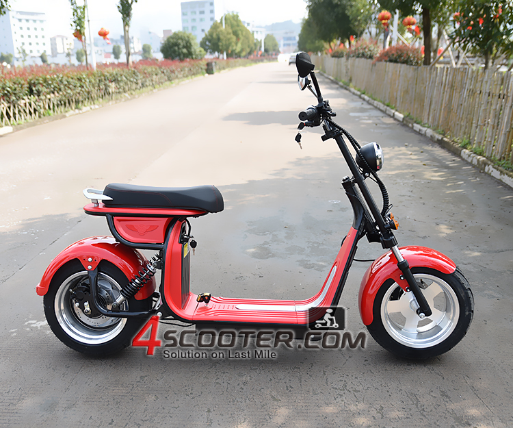 4000W Fat tire Citycoco Electric Scooter